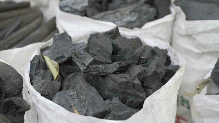 World Coal Market Consumption Details and Forecast