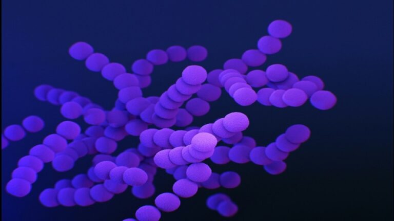 AI Boosts Small Molecule Therapies for I&I Diseases