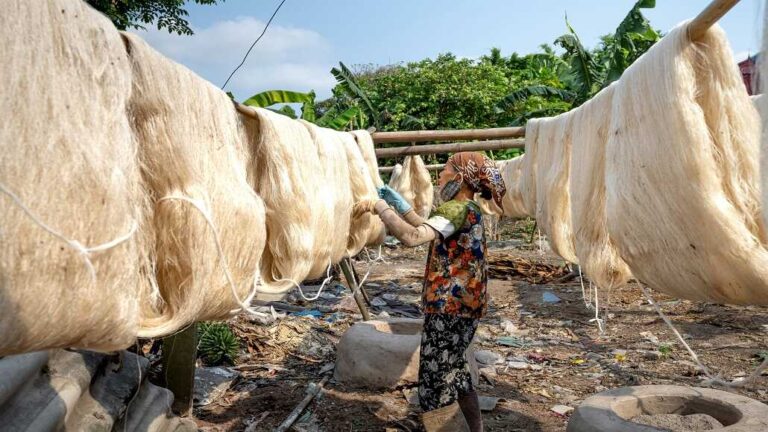 Indonesia’s Textile Sector Seeks Increased US Cotton Imports