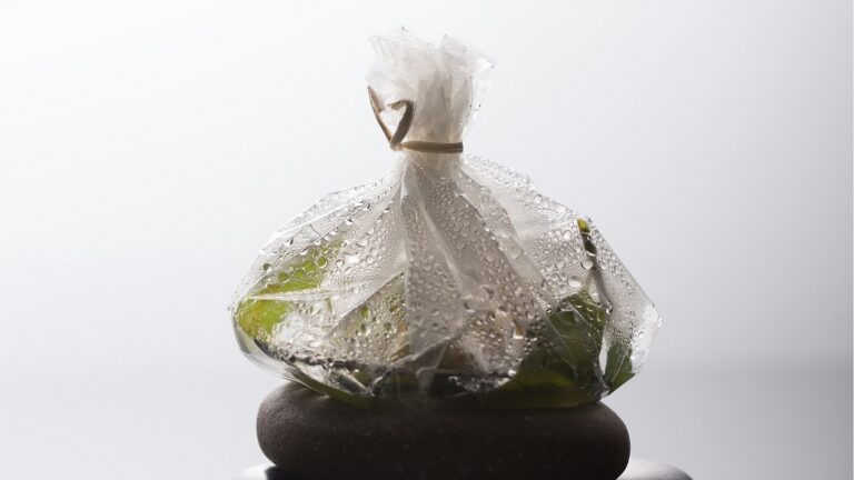 Rigid Plastic Packaging Market Growth Insights and Trends