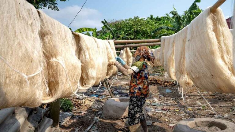 Uganda Refines Banana Fibres for Textiles & Hair Extensions Uganda Refines Banana Fibres for Textiles & Hair Extensions