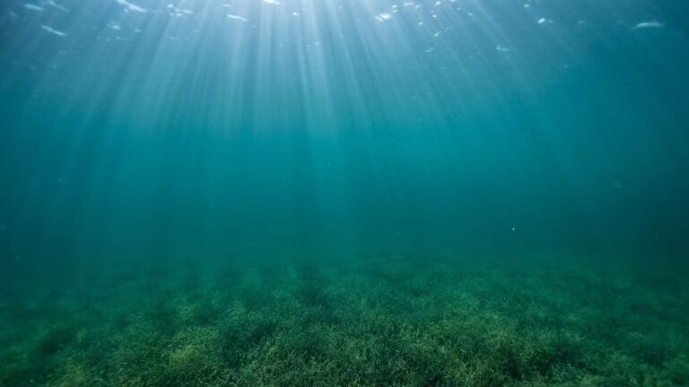 North Sea’s Promise for Green Hydrogen Production