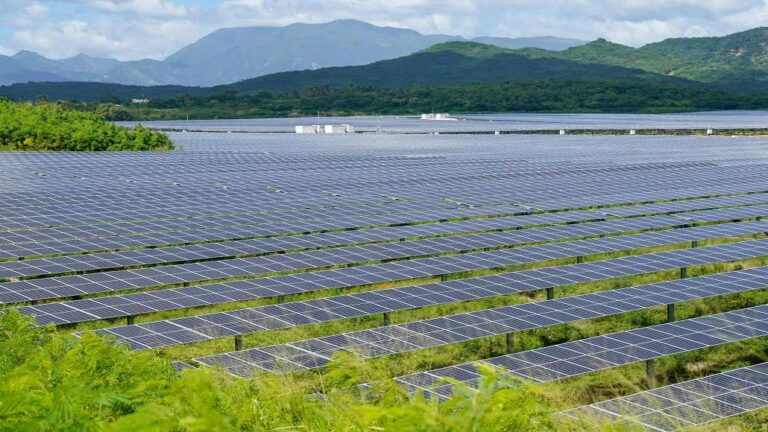 Bridging Borders: Lessons from New Zealand’s Solar Farm Development for India’s Clean Energy Push