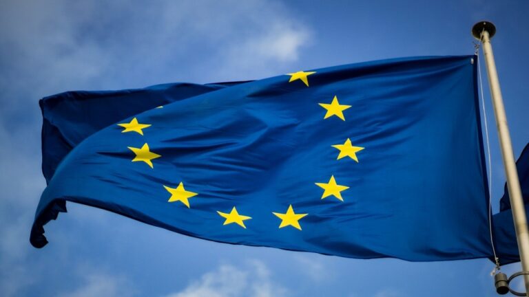 EU Is Split on State Aid for Clean Tech Manufacturing