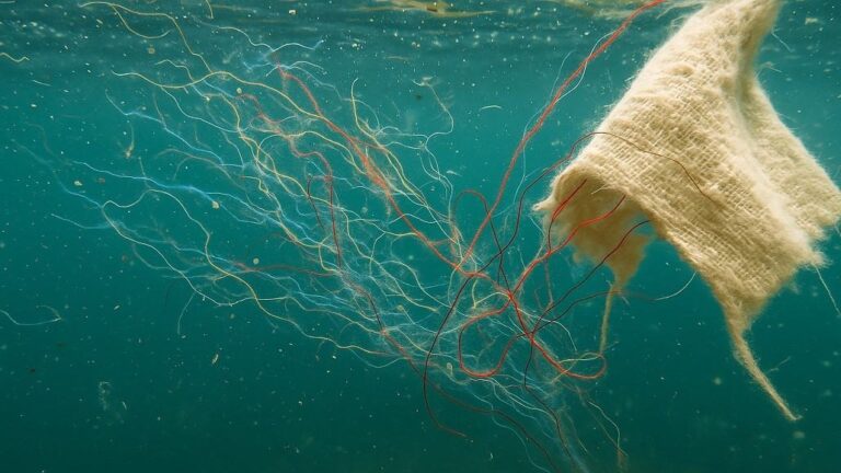 National Cotton Council Launches “Plant Not Plastic” Campaign to Empower Action Amid Growing Health Concerns