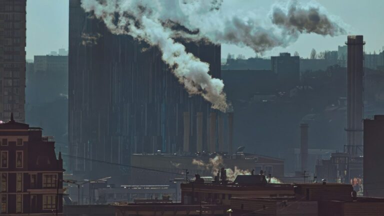 The True Cost of Greenwashing in Textile Supply Chains