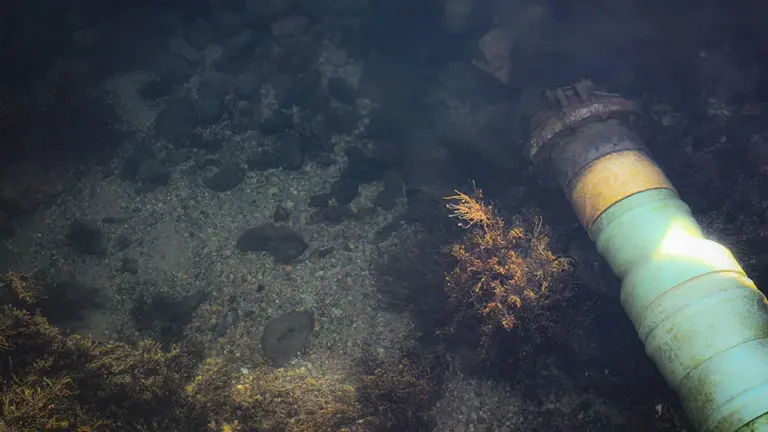 Cable Installation and Protection in Marine Applications