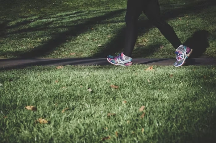 Supporting Mental and Physical Health