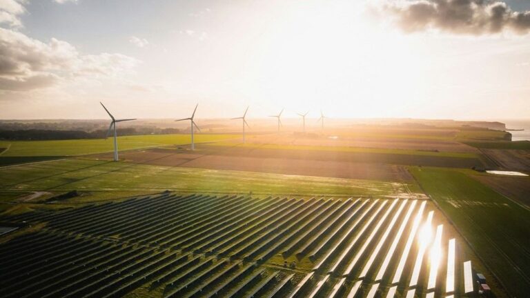 Renewsys Reel-Format Encapsulants Launched for Solar Modules