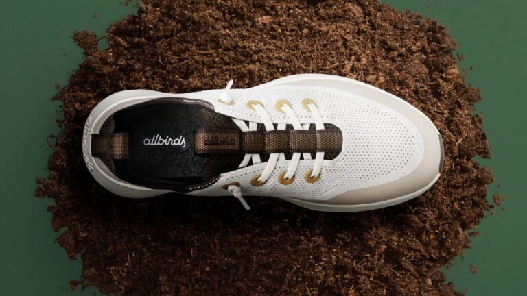 Allbirds Agrees $39m Asset Sale to American Exchange Group