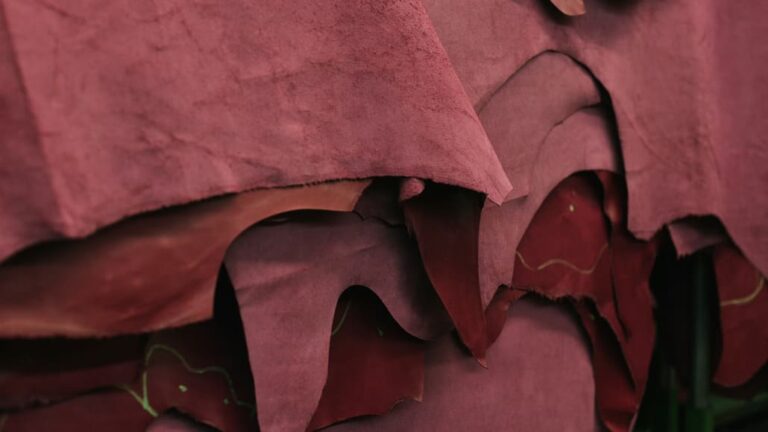 New WWF Guide Helps Brands Trace Deforestation-Free Leather