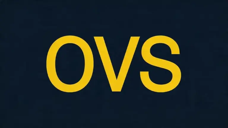 OVS FY25 Sales Rise 7% to €1.75bn; Profit Hits Record