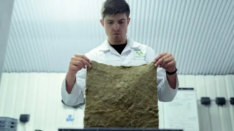Bezos Earth Fund Propels Sustainable Fashion with $34 Million Investment in Next-Gen Fibers