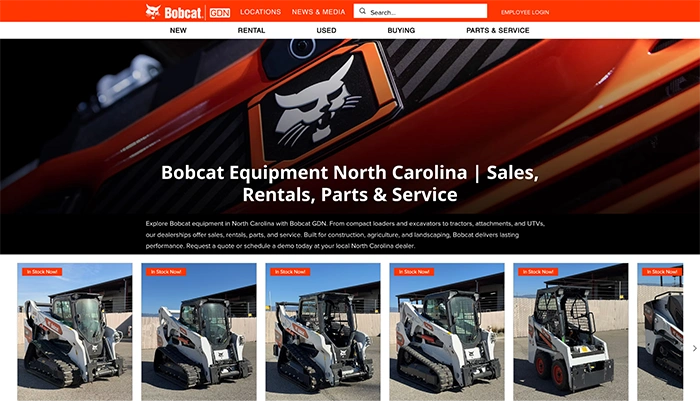 Bobcat of the Carolinas