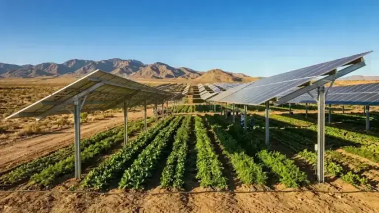 Climate Resilient Solar Infrastructure for Future Grids