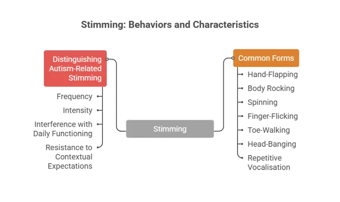 Repetitive Motor Behaviours