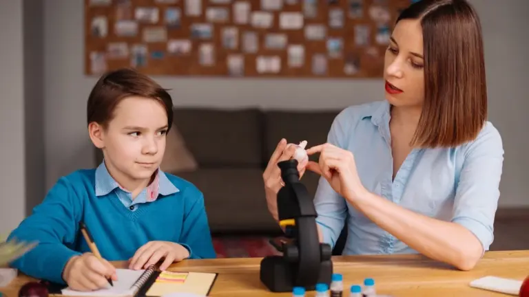 Educational and School-Based Therapies in Autism