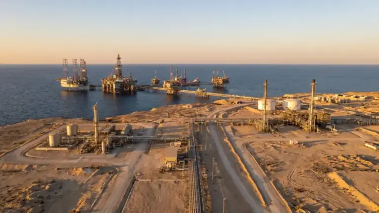 Egypt Discusses WDDM Area Investment with Oil Companies