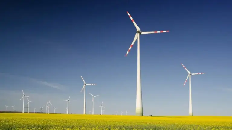 Lululemon Accelerates Sustainable Apparel Production with Major Renewable Energy Investment