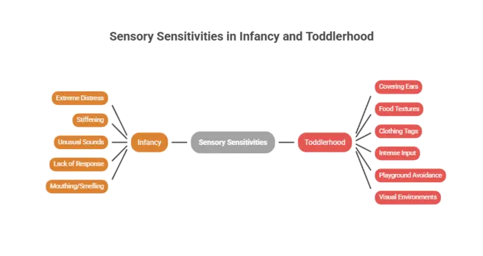 Sensory Sensitivities in Autism
