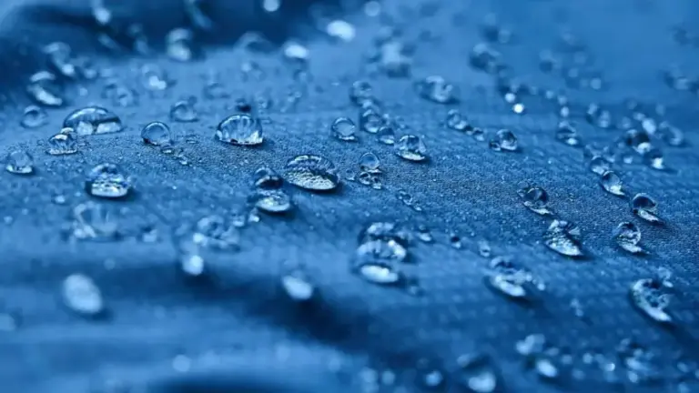 Bluesign Enhances Chemical Lists to Align With Stricter PFAS Regulations
