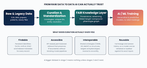 AI in Drug Discovery