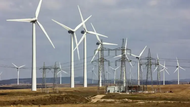 Grid-Forming Wind Farms Supporting Stable Power Networks