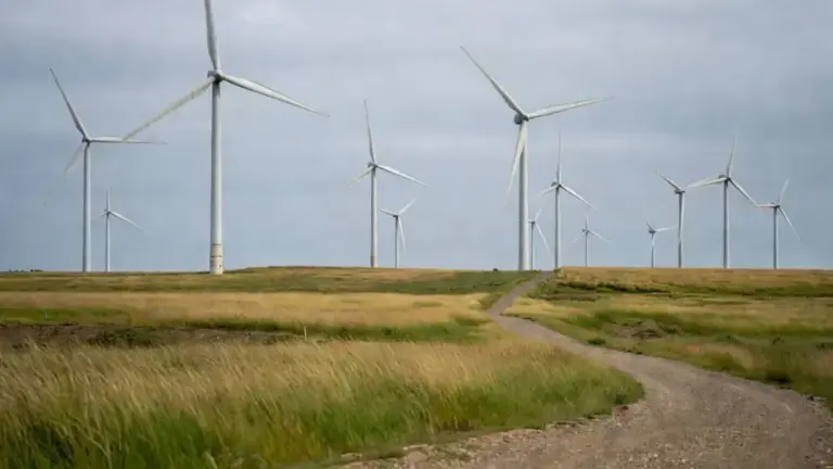 Synthetic Inertia Helping Wind Farms Stabilize Modern Grids