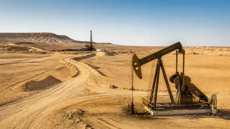 Egypt Launches Western Desert Seismic Survey to Boost Exploration