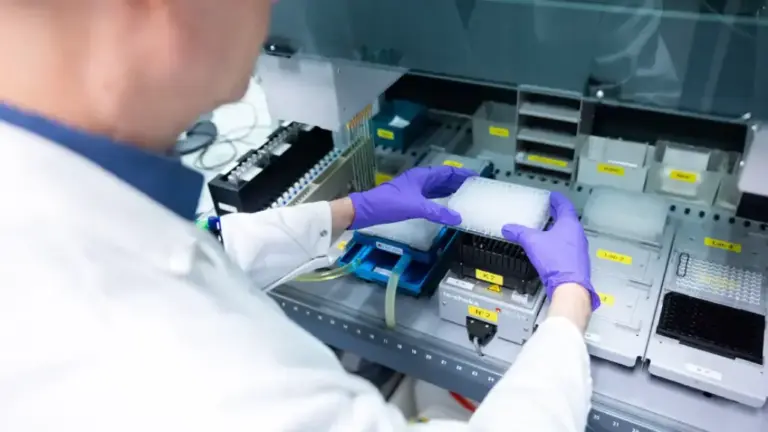 Oncodesign Services and Nexus BioQuest Form Preclinical Partnership