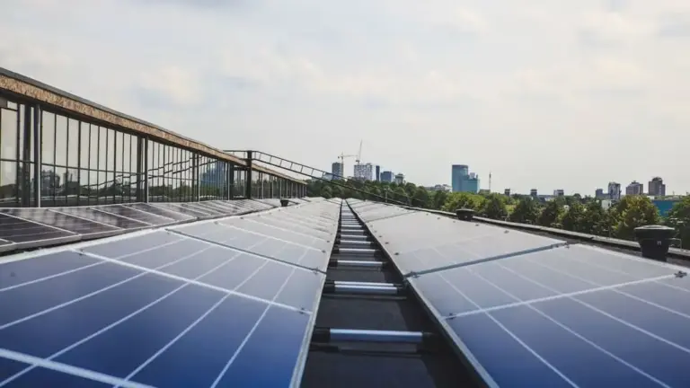 Levi’s and M&S Launch Fashion Renewable Collaborative to Drive Supply Chain Decarbonisation